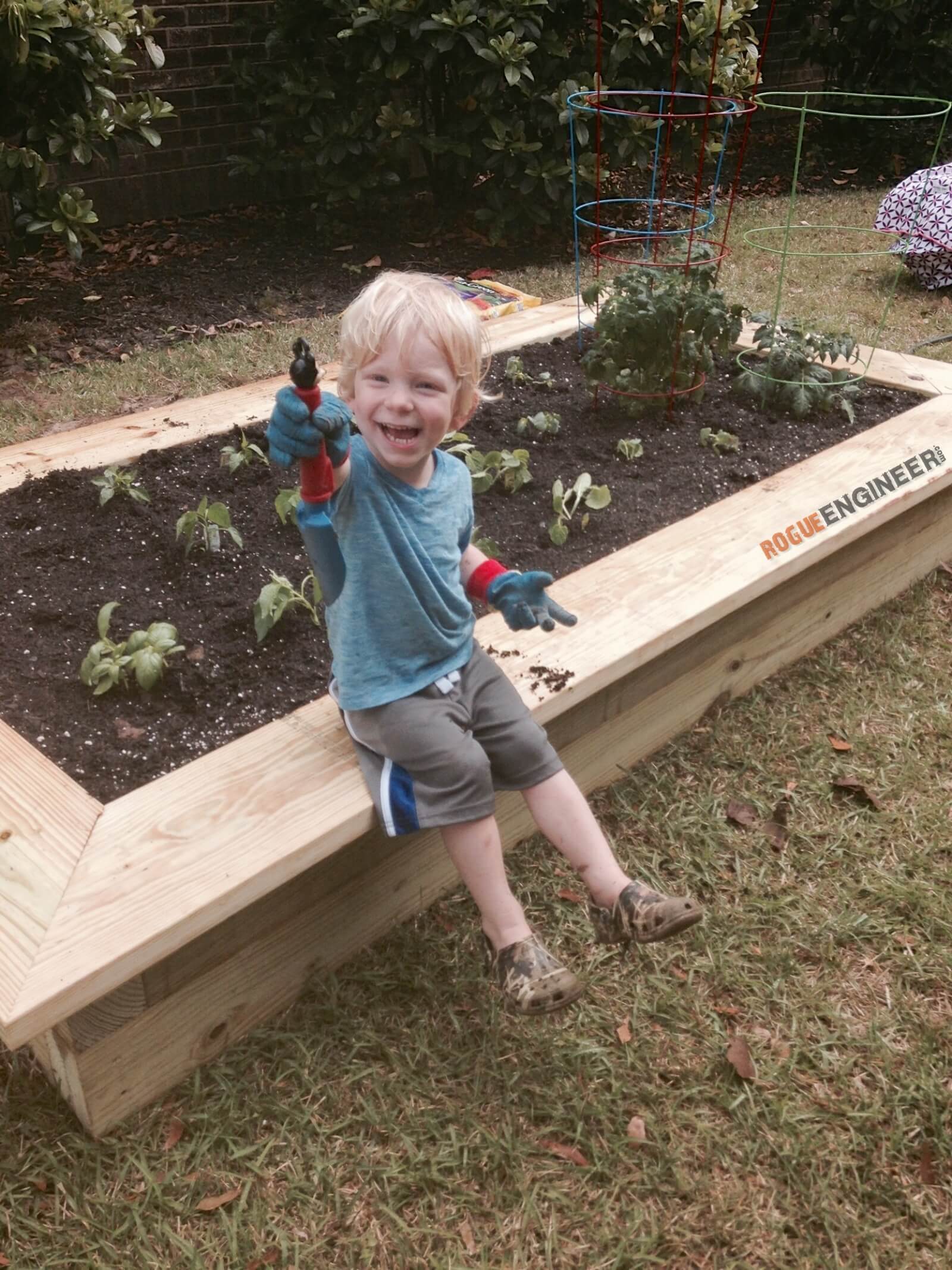 How To Build A Raised Vegetable Garden Rogue Engineer