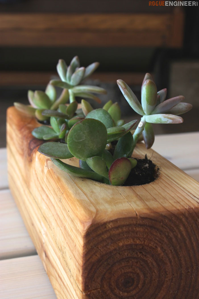 DIY Scrap Wood Succulent Planter - Rogue Engineer 4