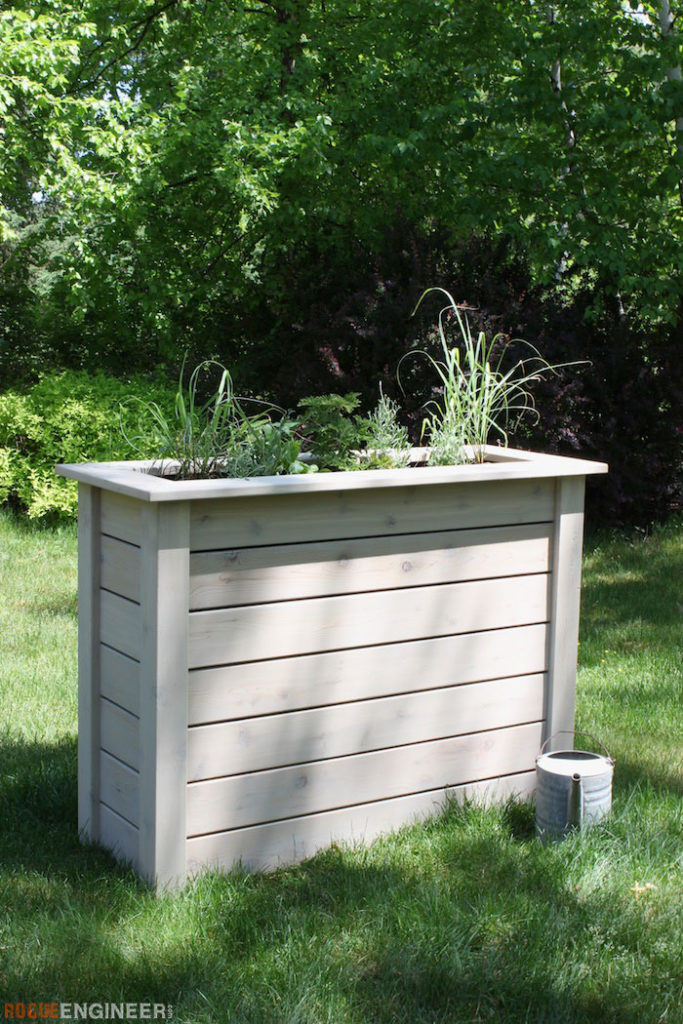 Tall Privacy Planter { Free DIY Plans } Rogue Engineer