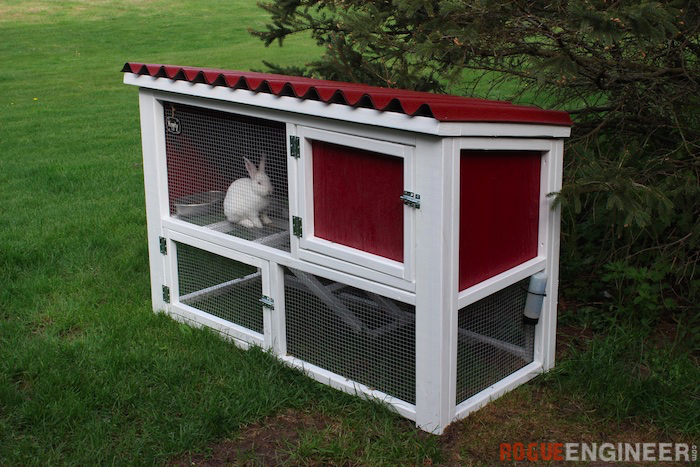 Side by side outlet rabbit hutch