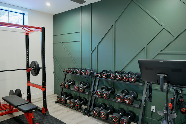 Home gym equipment rogue sale