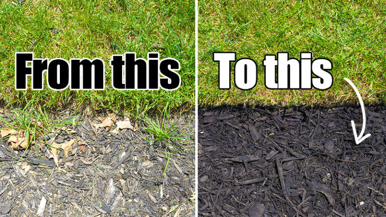 Easy Landscaping Tips Everyone Should Know
