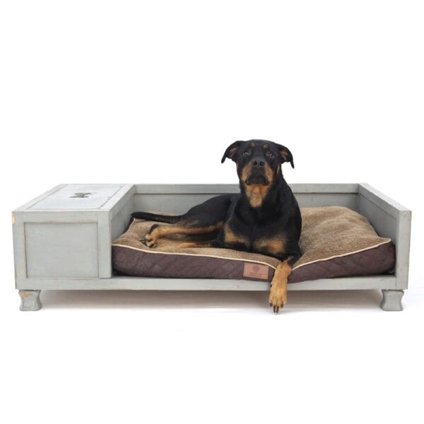 hd dog bed gallery 2