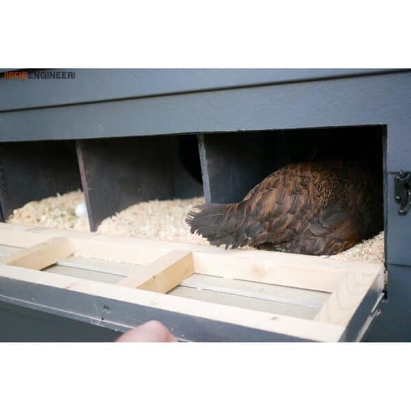 modern chicken coop gallery 3