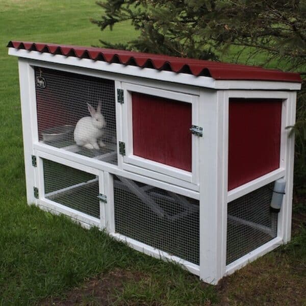 rabbit hutch gallery 1