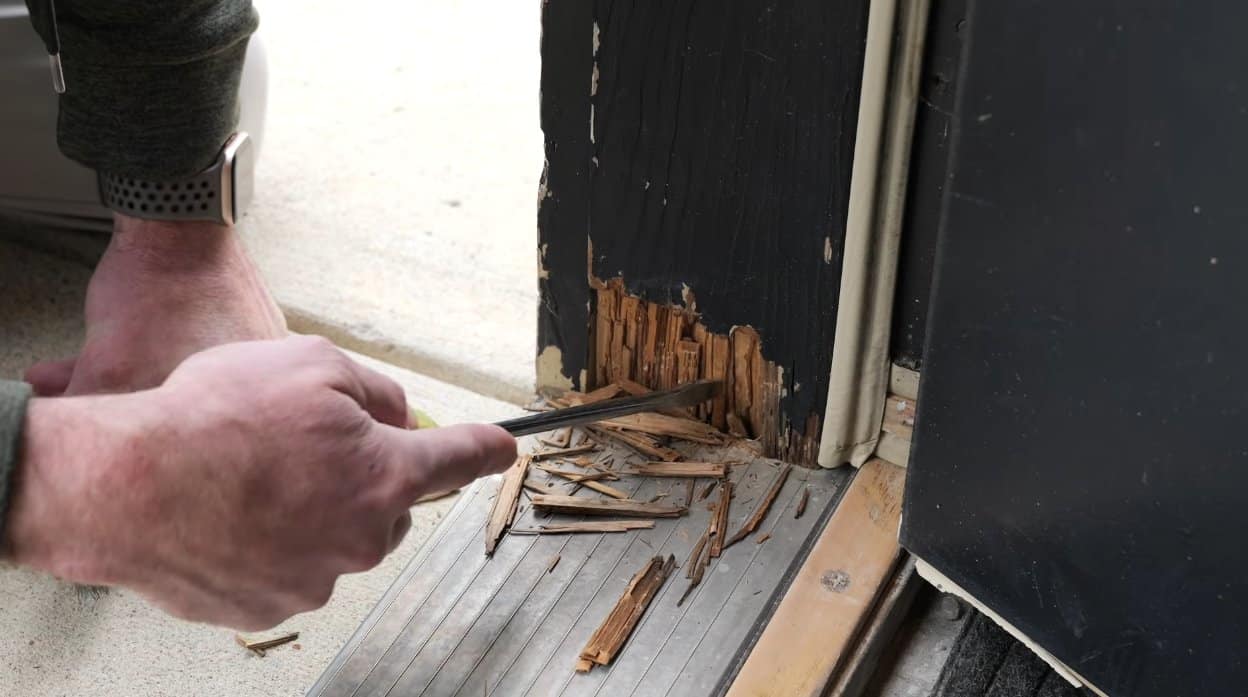 Removing rotted wood from an exterior door frame with a screwdriver and chisel
